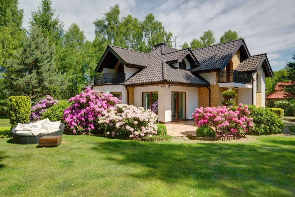 Real Estate services