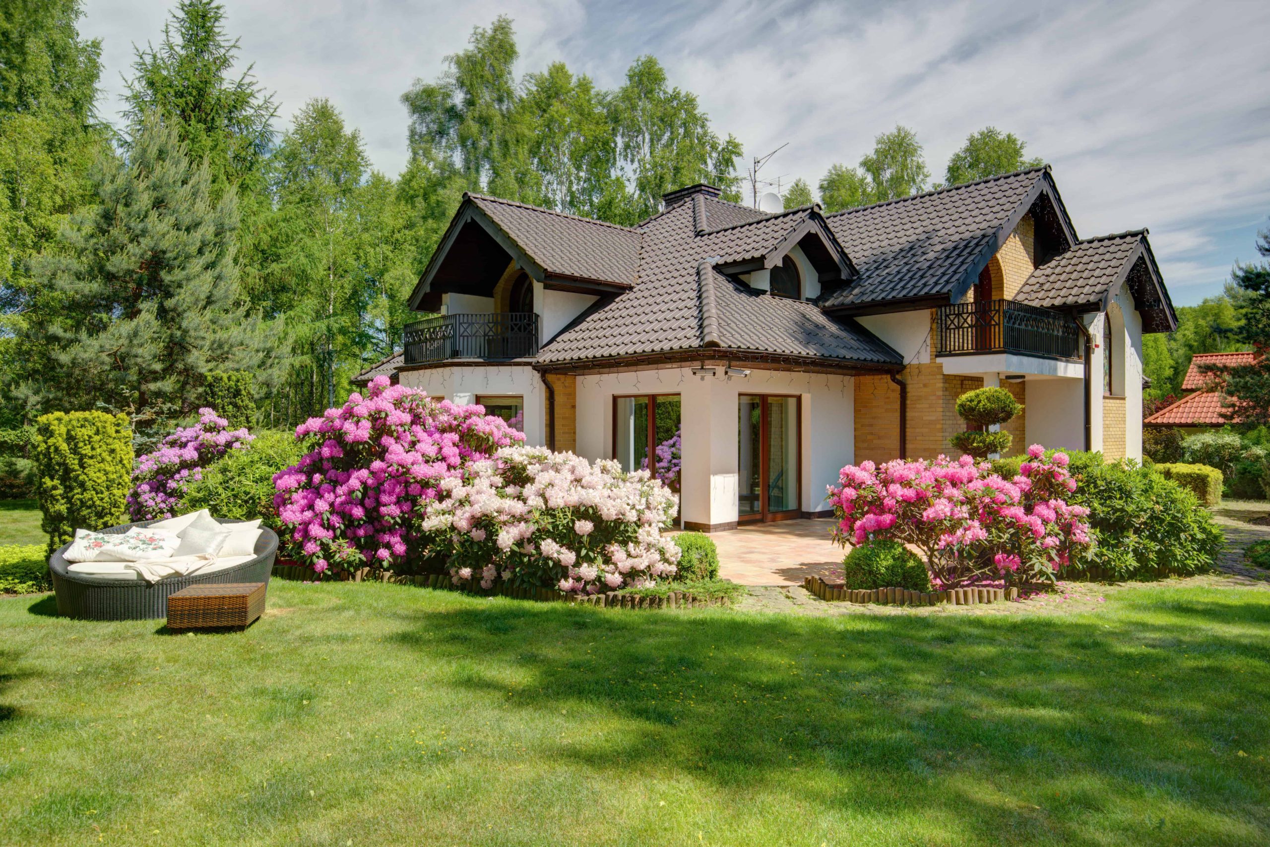 Real Estate services