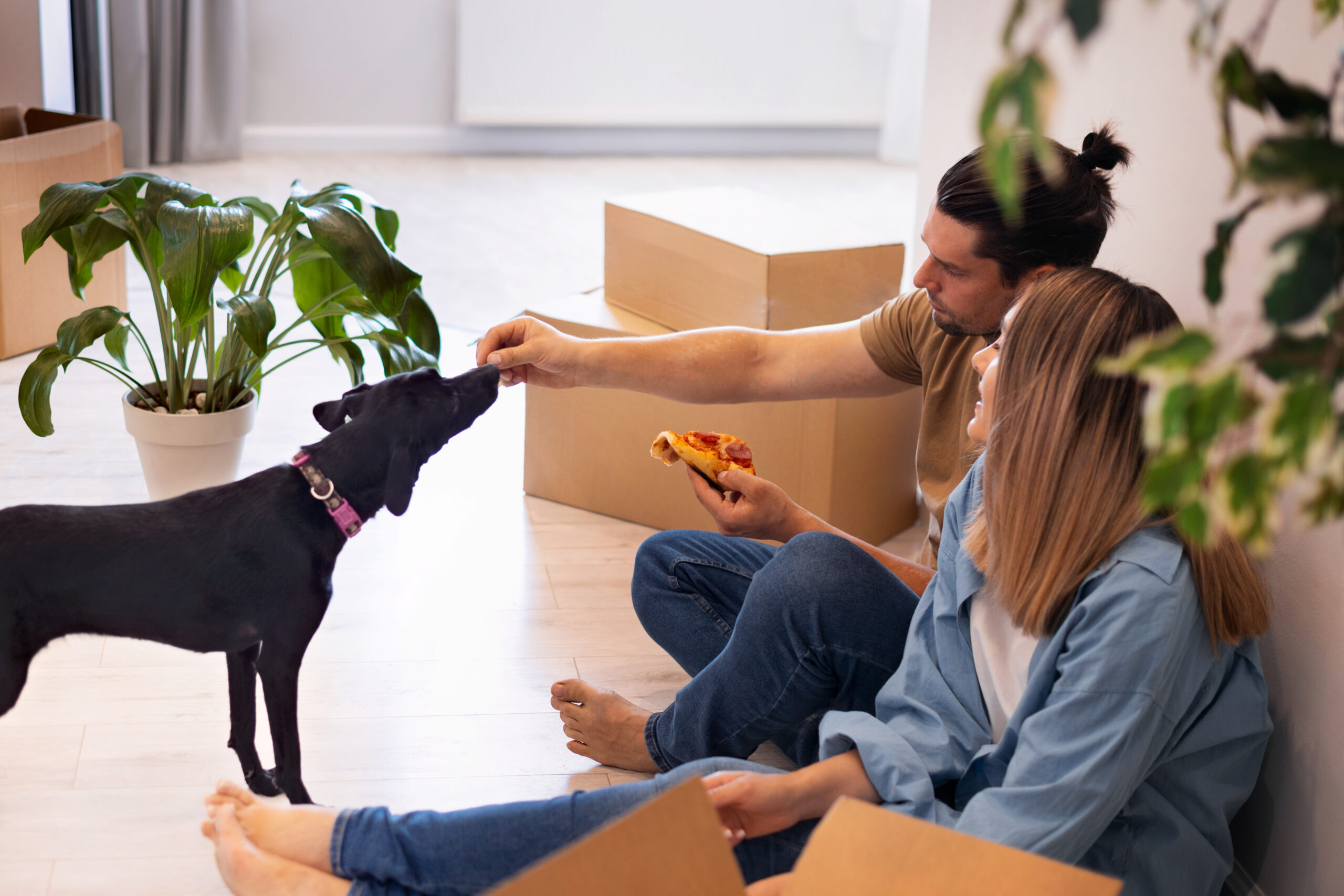 A Comprehensive Guide to Moving with Pets Across the Country